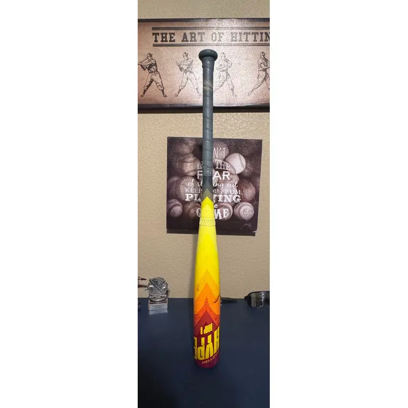 2024 Easton Hype Fire Composite USSSA Certified Bat (-8)  22 oz 30" (Used)