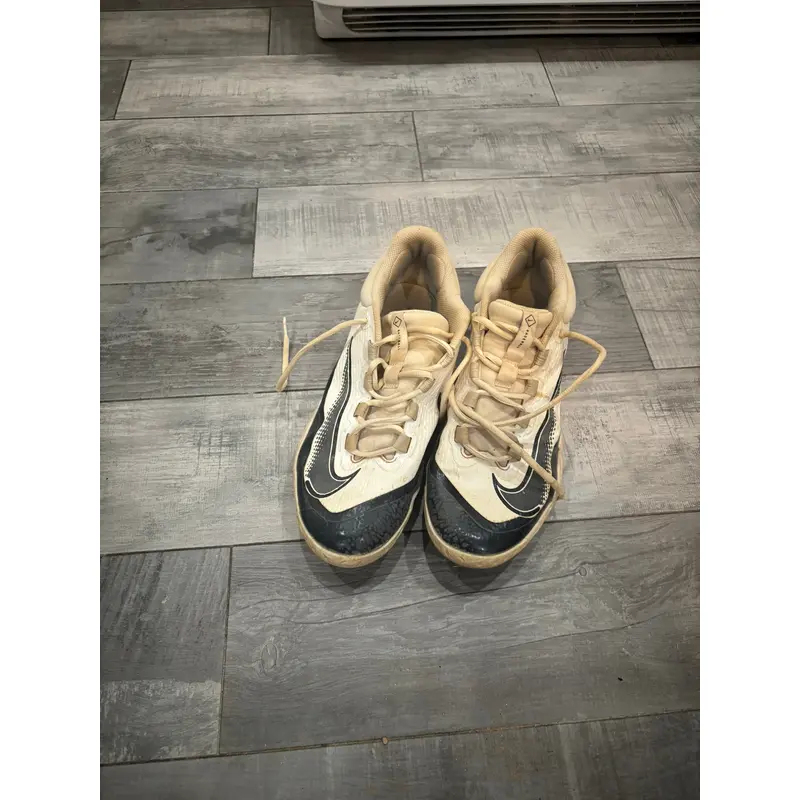 White Men's Size M 10.0 Adult Nike Low Top Metal (Used)