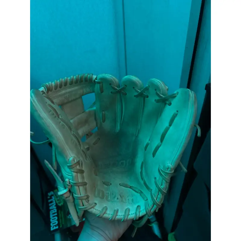 Baseball Glove Break-in