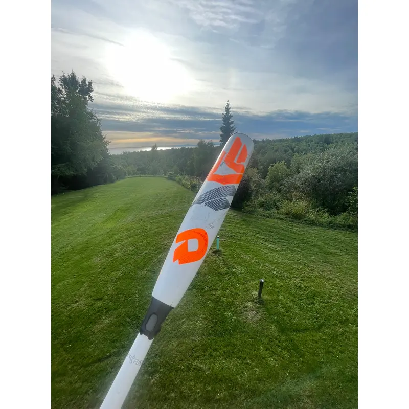 Demarion CF Baseball Bat 31 -10