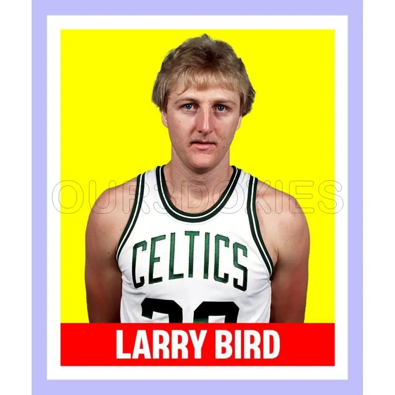 Larry Bird 1948 Leaf Custom Card - 3885