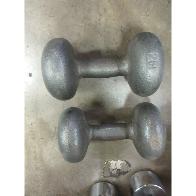 Used Vintage 25lb Dumbbell Set