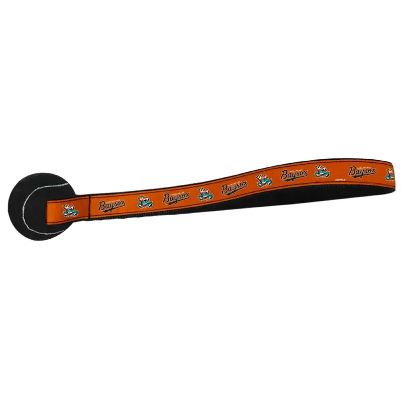 Chesapeake Baysox Pet Ball Toss Toy