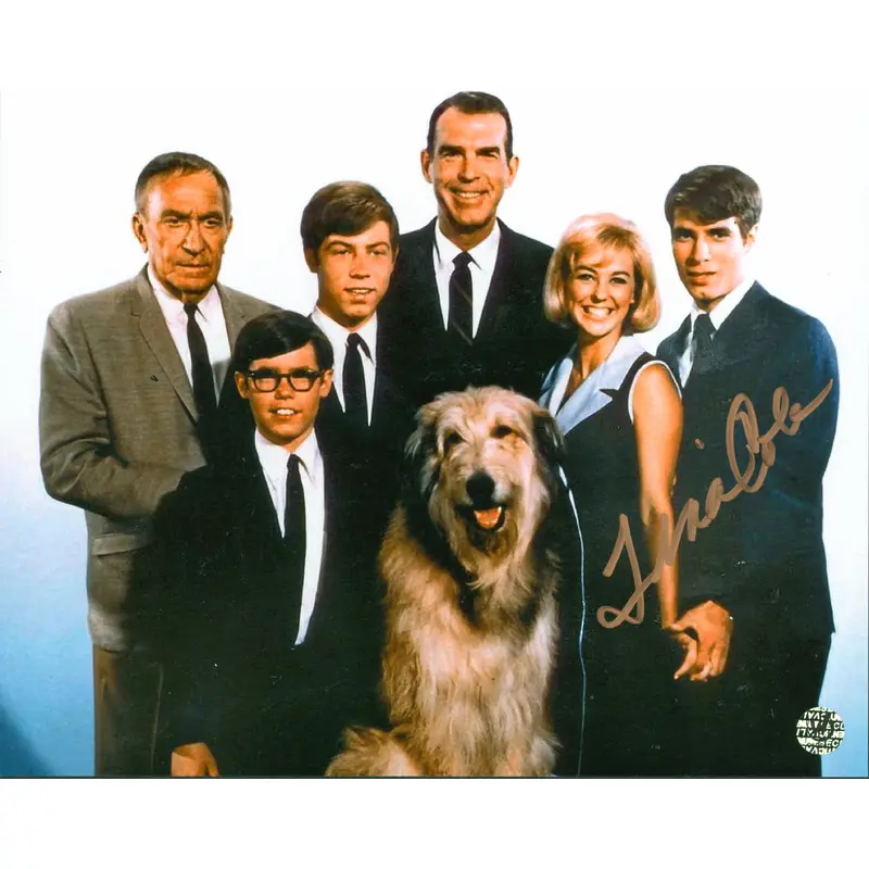 Tina Cole My Three Sons Authentic Signed 8x10 Photo Wizard World #019630