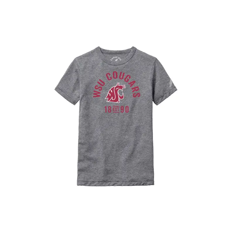 Youth Grey WSU Cougars 1890 Crew Neck Shirt