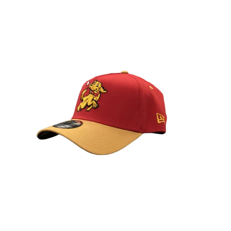 *NEW* HVR Retrievers Yellow Labrador New Era 940 SnapBack