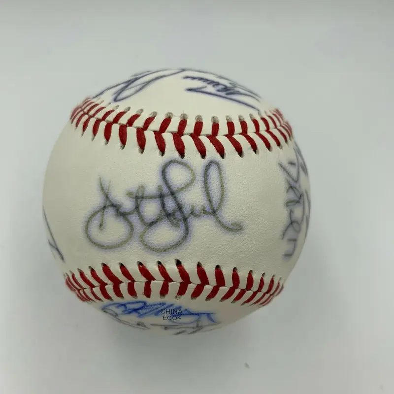 2007 Harrisburg Senators Washington Nationals Team Signed Minor League Baseball