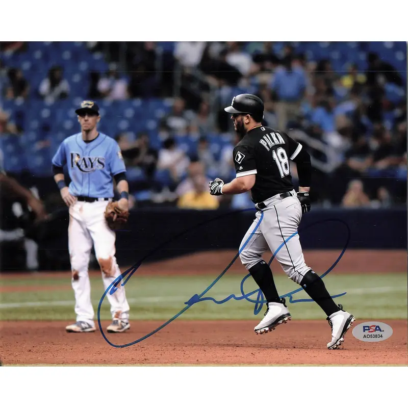 Daniel Palka signed 8x10 photo PSA/DNA Chicago White Sox Autographed