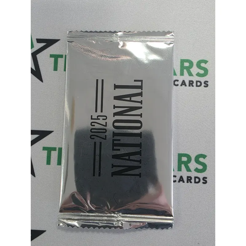 2025 Panini National Convention Silver Pack 10 Pack Lot