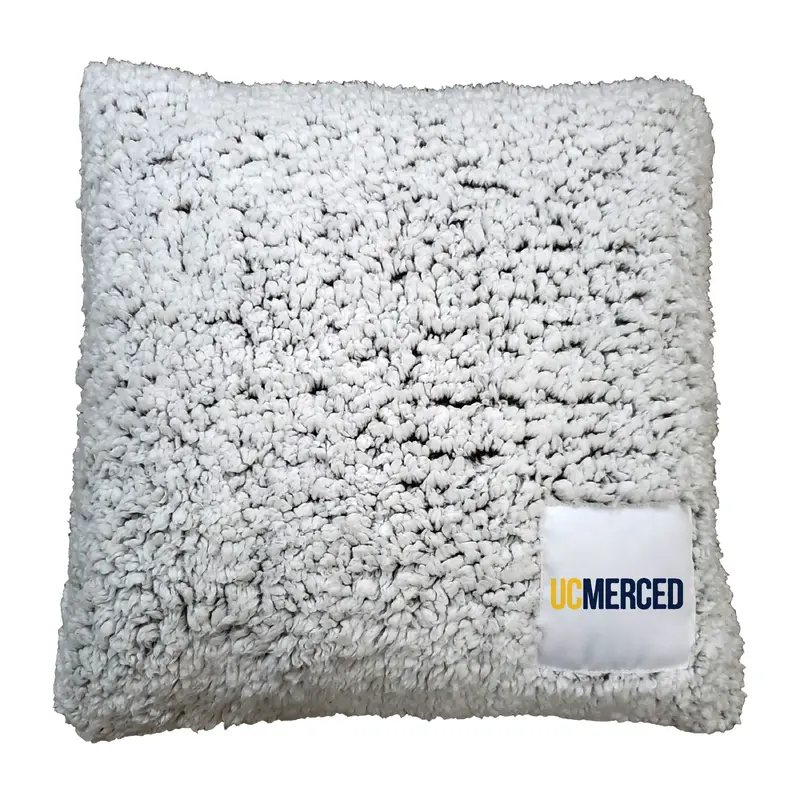UC Merced Frosty Pillow