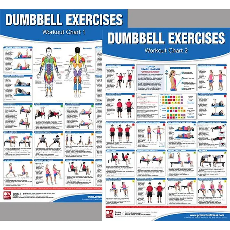Dumbbell Exercises Workout 2-Poster Professional Wall Chart Combo - Productive Fitness