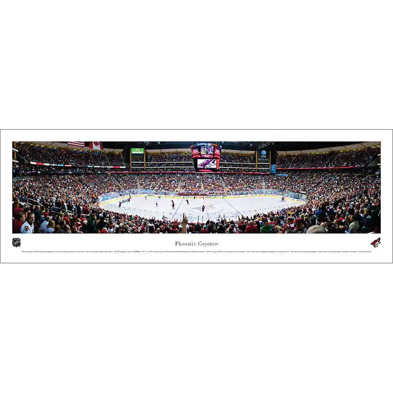 Phoenix Coyotes NHL Game Night Panoramic Poster Print (2011) - Blakeway Worldwide