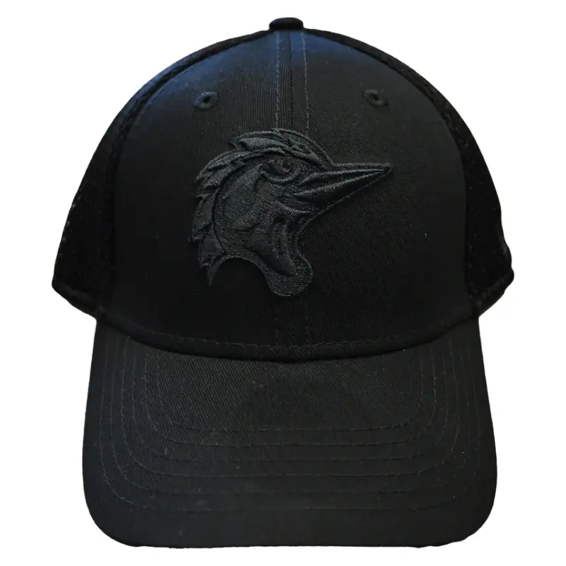 Fayetteville Woodpeckers New Era Youth Team Neo Adjustable Cap