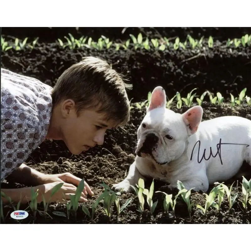 Haley Joel Osment Secondhand Lions Signed Authentic 11X14 Photo PSA/DNA #W24431