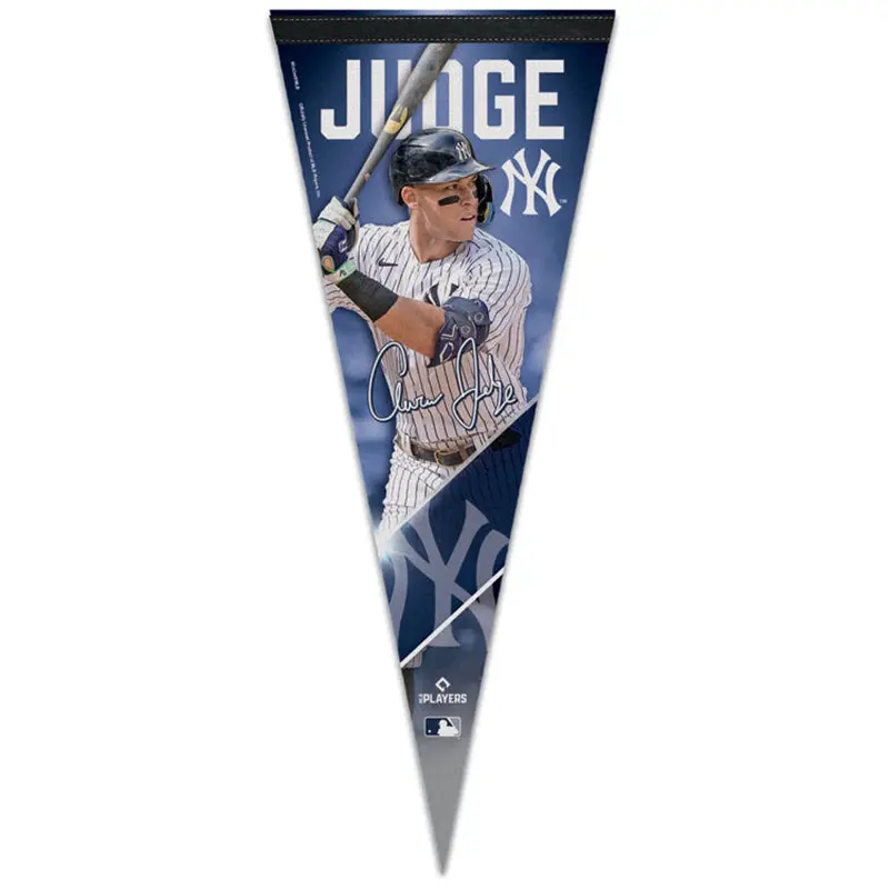 Aaron Judge New York Yankees Signature Series Premium Felt Pennant - Wincraft 2023