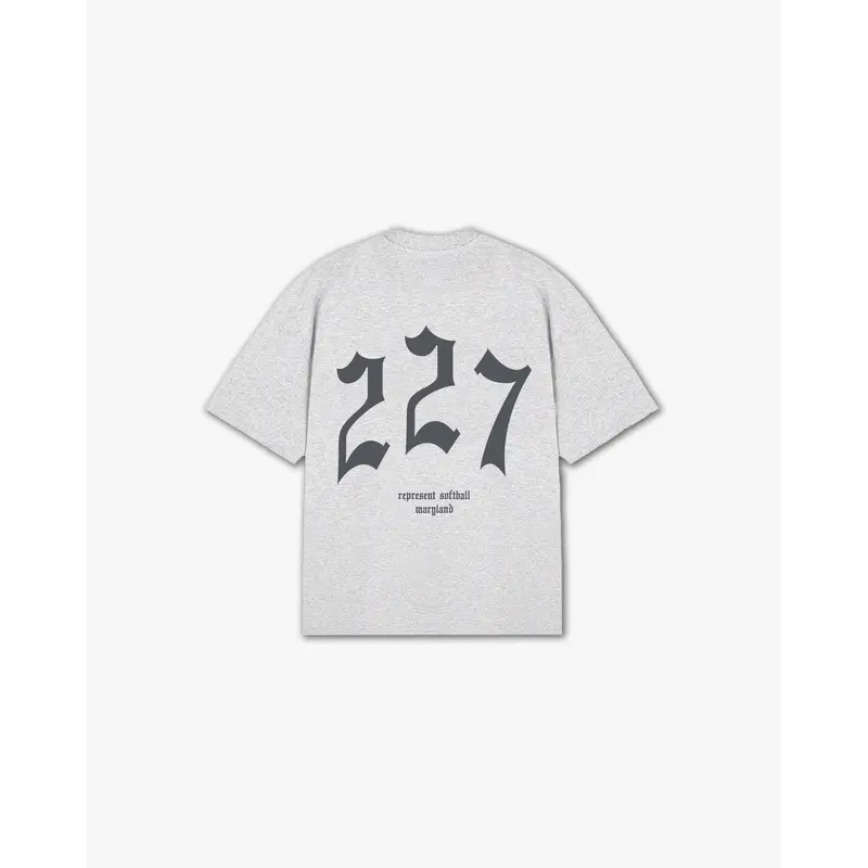 THE (227) VANQUISH SOFTBALL V2 ELITE TEE