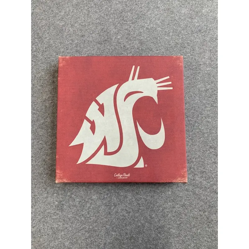 Crimson with white cougar canvas 9x9