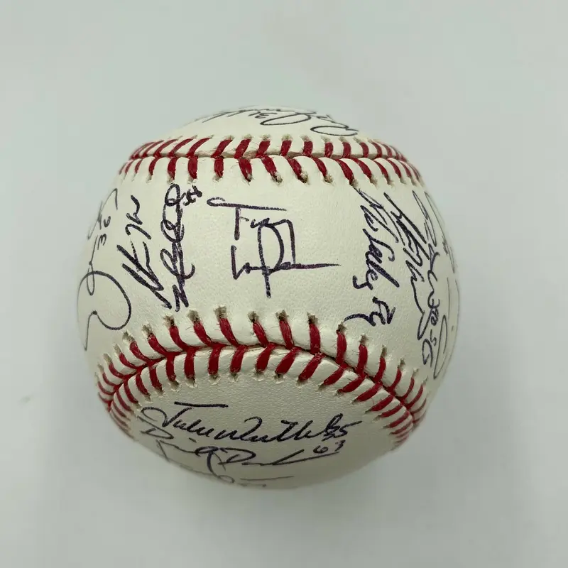 2010 St. Louis Cardinals Team Signed MLB Baseball Albert Pujols JSA COA