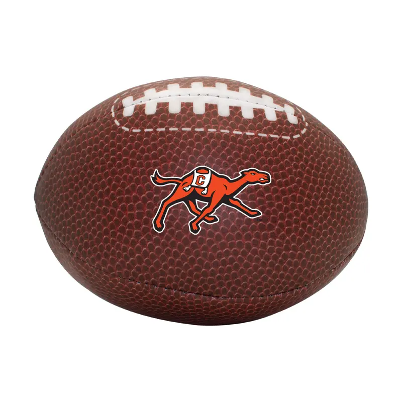 Campbell Composite Brown Micro Soft Football