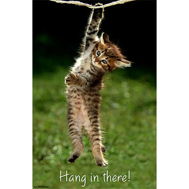 Adorable Kitten "Hang In There" Super-Cute Cat Poster - Trends International