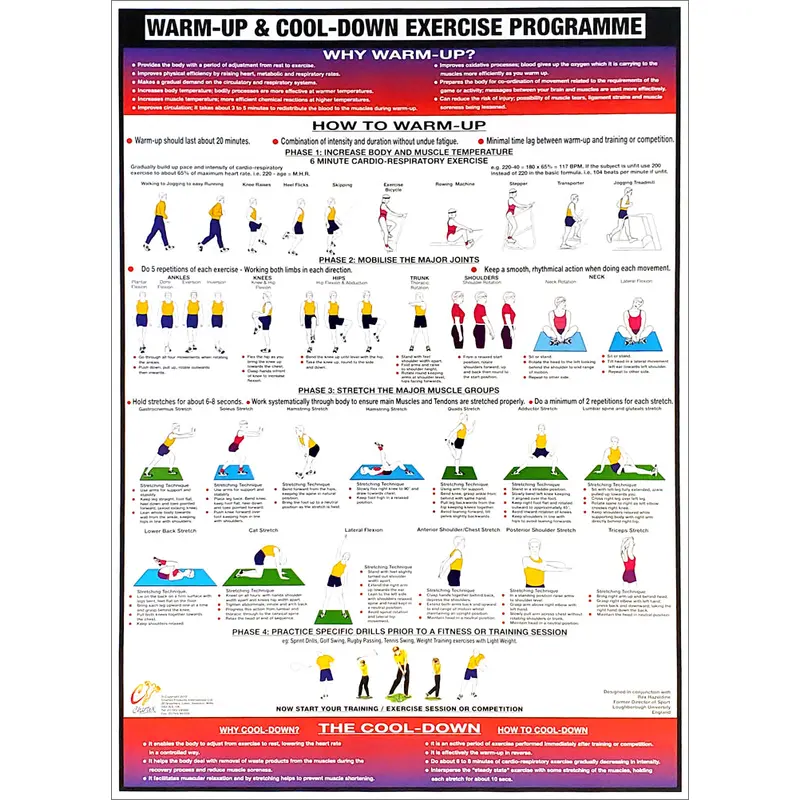Warm-Up and Cool-Down Fitness Instructional Wall Chart - Chartex