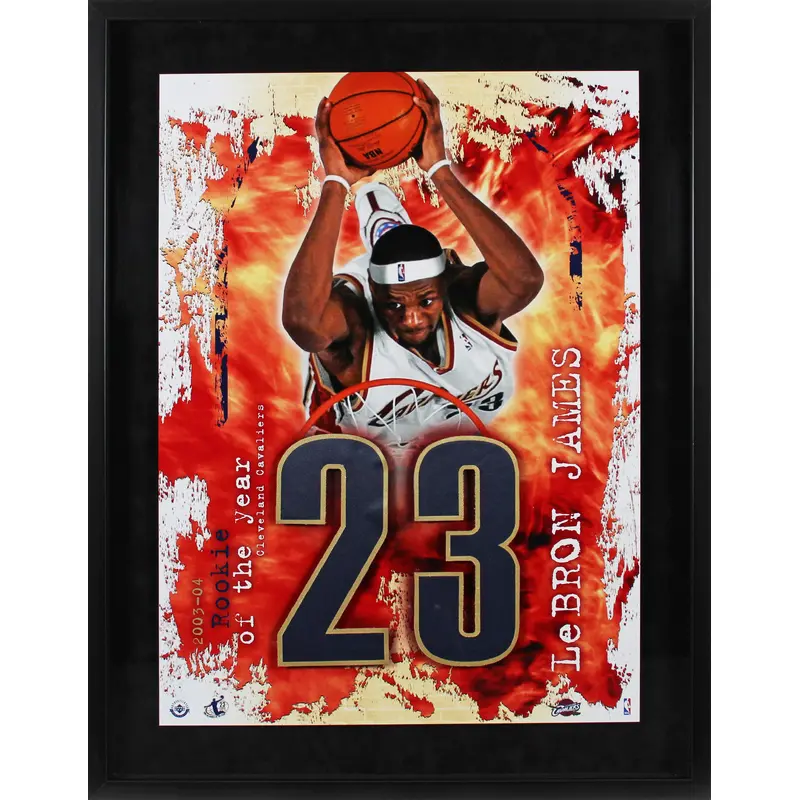 Cavaliers LeBron James 2003-04 Rookie Of The Year Framed Display Un-signed