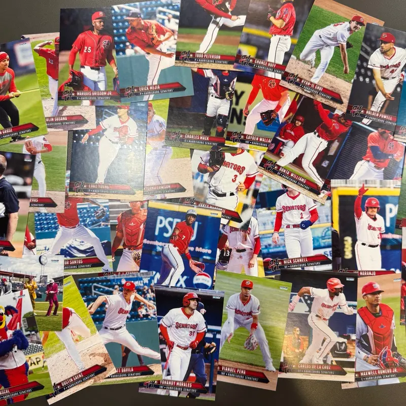 2025 Harrisburg Senators Team Set