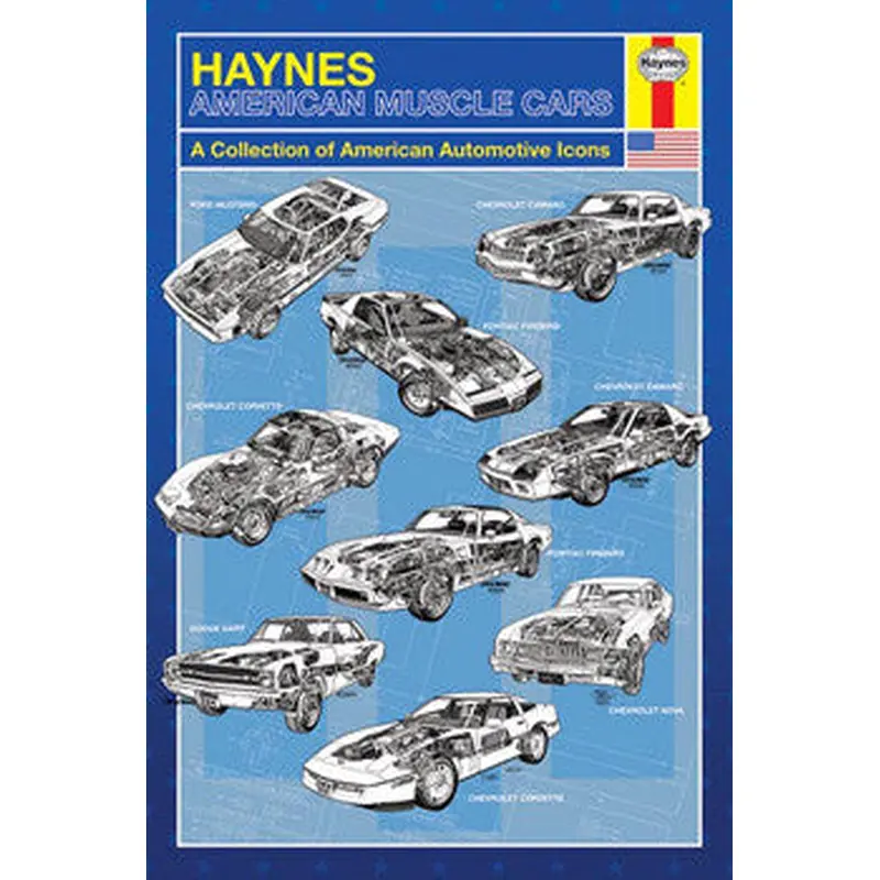 American Muscle Cars (Haynes Schematic Art) Poster - Pyramid Posters
